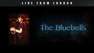 The Bluebells - Everybody's Somebody's Fool