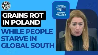 &laquo;Крайняя дисфункция&raquo; &mdash; депутат Европарламента Клэр Дейли &mdash; речь от 9 мая 2023 г.