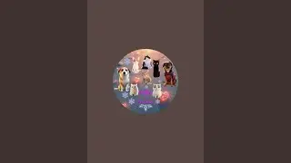 Tabby & Friends überträgt einen Livestream.