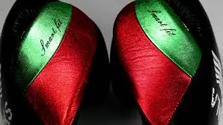 Professional line of V`NOKS - MEX PRO BOXING GLOVES
