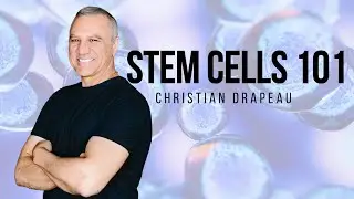 Stem Cells 101