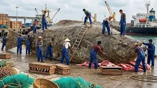 Processing GIANT 2-TON Flounder &mdash; Fishermen Harvest & Process This Massive Fish