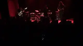 ZAPATU BELTZA - BERTSIO GABA PSILOCYBENEA (Hondarribia) 17-01-2026