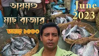 ডায়মন্ড পাইকারি মাছের বাজার || Nagendra fish market || Hilsa fish price 2023 || sea fish price