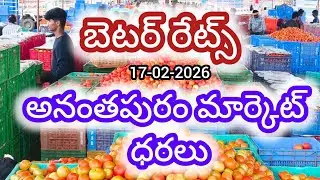 Anantapur tomato market rates/today tomato market rates #Anantapur #agriculture #tomato rate #tomato