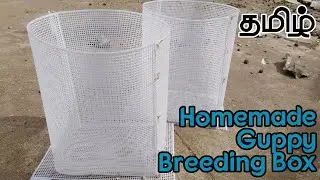 Homemade Guppy Breeding Box || Breeding Cage || Breeding Box For Fish - Salem [Tamil]