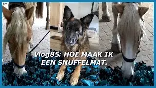 vlog85: HOE MAAK JE EEN SNUFFELMAT VOOR JE DIER(EN)