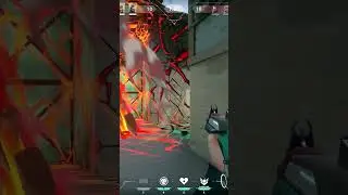 Check Your Corners Kids... | Valorant Beta Spraydown (Sage)