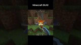 Minecraft bugs be like💀#minecraft #helpmemakethismakesense #gaming