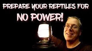 Prepare your reptiles for no power!
