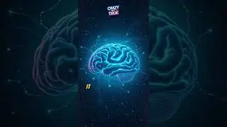 Your Brain Works Harder While You Sleep 😴