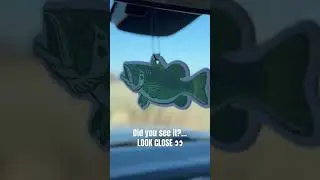 Look close!!! #fishing #fish #bassfishing #lol #viral #trending #youtubeshorts #youtube