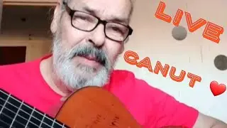 Canut Rayes live