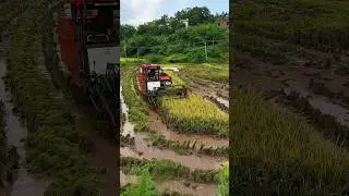 new mini harvester 😍 #shorts #miniharvester #agriculture #trendingshorts