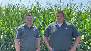 Pro Cooperative's Monday Minute: Scouting For Corn Root Worms