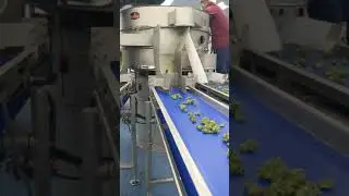 Watch the Twister T-Zero Pro in Action