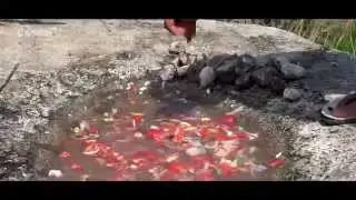 Caldo de piedra - Estelares de Oaxaca