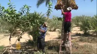 Gaza remains under siege decade after Israel's withdrawal