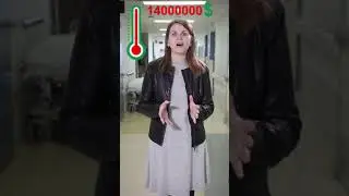 Bilan Social 2017