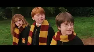 Modal verbs (should / shouldn't present perfect) with Harry Potter