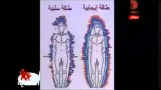 د. حسين والي - كيف تكتشف الخلل فى طاقتك 