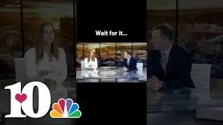 News bloopers&hellip;there was a wasp in the studio