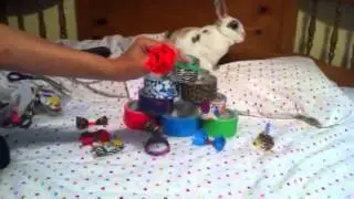 Miffies duct tape tutorial