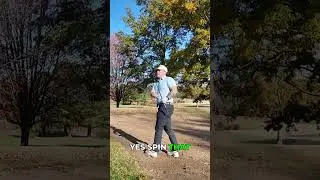 Wind Ruined My Shot! Bunker Recovery for Par! #golf #shorts