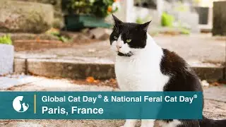 Cats Are Community&trade; in Paris, France