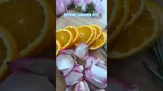 Let&rsquo;s make a Spring Simmer Pot🤗🌸😍🍊✨💐 This will make your home smell good this spring! #diy