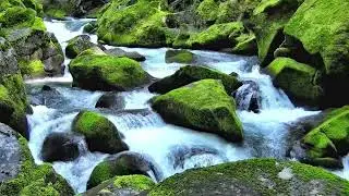 Powerful Positive Music with Waterfall on Mossy Rocks | Uplifting Nature Energy