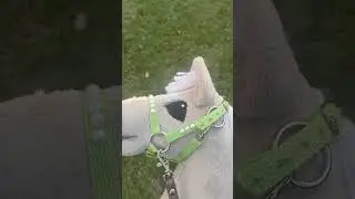 Vlog z treningu na soli💋