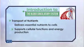 Kidneys and Metabolism: Blood Circulatory System and Metabolism | Biochemistry II | BIO506T_Topic188
