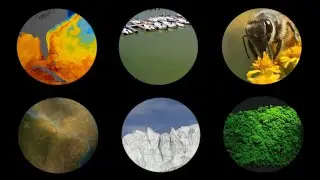 Cosmic Biology: Exploring Living and Non-Living Wonders with NASA