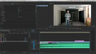 Панорамирование и масштабирование в Adobe Premiere Pro 2020