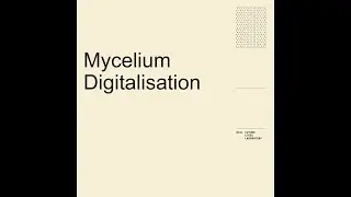 Research Overture 5 | Mycelium Digitalisation