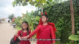 Peri merah sopan banget 