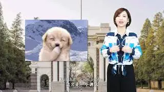 6.3 Chapter 6: The Future is Here Chinese Education Going Global 第6章 未来已来：走向世界的中国教育 6.3 风从东方来今日中国概况