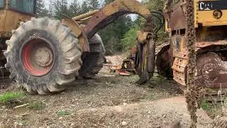 Лесозаготовительное оборудование и могильник