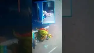 Robleis en directo