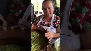C&Oacute;MO SE HACE RELLENO DE ALVERJ&Oacute;N PARA TLAYOYOS #shorts #shortsvideo #shortsfeed #tlacoyos #alverjon