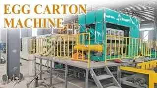 Large Egg Carton Machine 4000&ndash;7000 pcs/hr | Fully Automatic Pulp Molding Machine