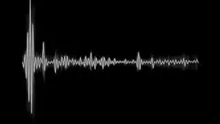 Depeche Mode - Fly On The Windscreen (Waldorff Version)