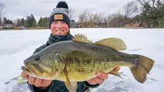 Ice Fishing GIANT Largemouth Bass through the ICE - How to Catch Bass