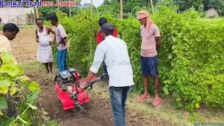 Best Power Weeder/ Mini tractor Demo. #pankajtradersjamui 