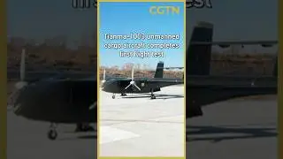 Tianma-1000 unmanned cargo aircraft completes first flight test