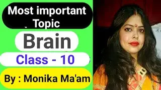 Parts of brain in Hindi | Fore Brain | Mid Brain | Hind Brain | Cerebellum | Functions