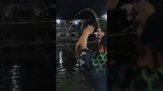 Strike ikan patin babon #shorts #strike #short #youtubeshorts #youtube #ikanmas #mancing #mania
