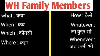 Wh Family Members Sentences // WH Family Members Sentences in English