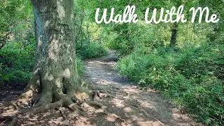 Walk With Me - Old Victoria Line & Sharphill Woods Nottingham